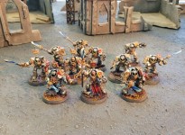 "Paladins x10 (plastique) " par Bouzignac