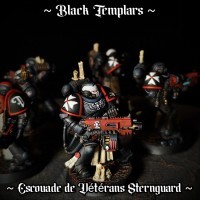 "~ 𝕭𝖑𝖆𝖈𝖐 𝖙𝖊𝖒𝖕𝖑𝖆𝖗𝖘 ~ " par P. WGM40