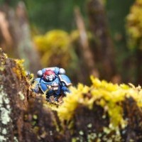 "Sergent Reiver" par NatCrafty