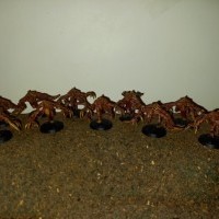 "Genestealers" par Le H